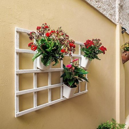 Las Sales Estudio Moya  Exterior photo